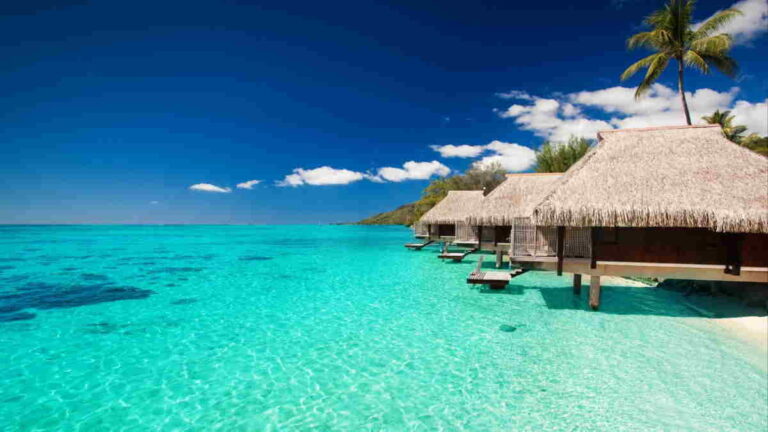 السياحة في جزر المالديف: اماكن وجزر السياحة في المالديف أفضل دليل شامل 2022